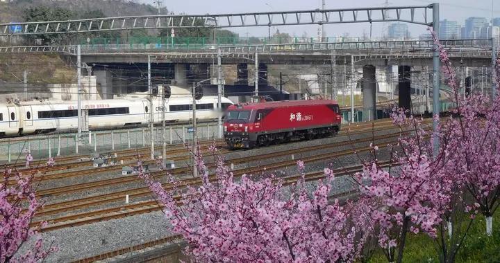 这些年在重庆拍摄的开往春天的列车，火车与花一起拍下来