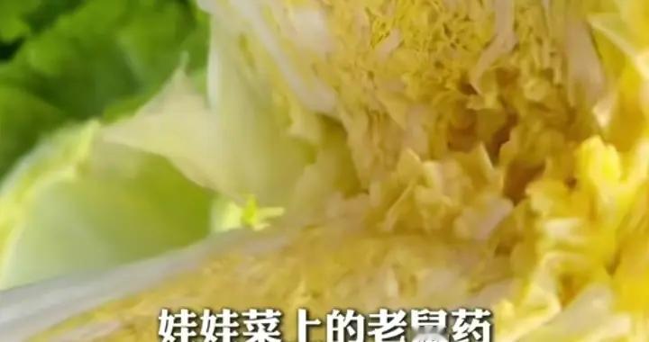 夫妻食用网购娃娃菜双双重度中毒进ICU，警方已介入