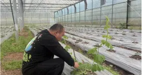 “技术男”回村当“植物翻译官”