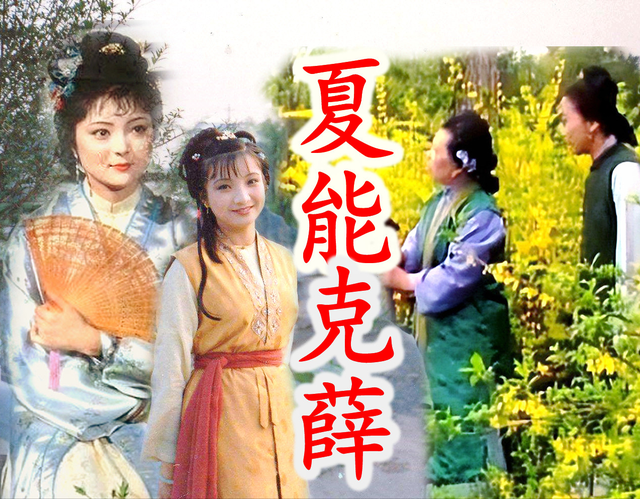 柳叶渚风波：最丑婆子骂最脏话，意外成高爽时刻！终于有人治薛家