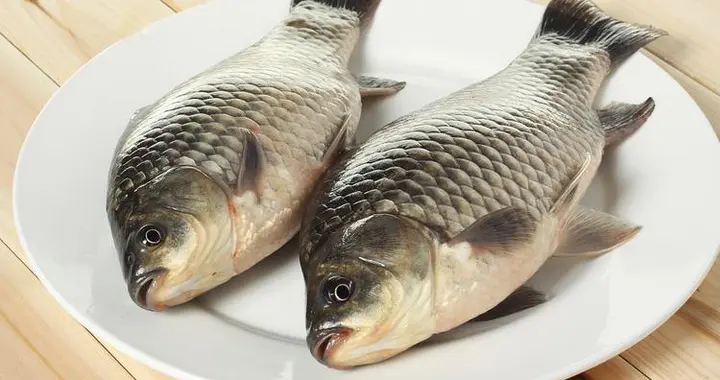 鲫鱼再次成为关注中心！医生发现：胆固醇高吃鲫鱼时，多留意7点