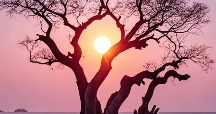 采阴补阳或采阳补阴，都是正常科研法门，怎么会扯到男女性爱上？