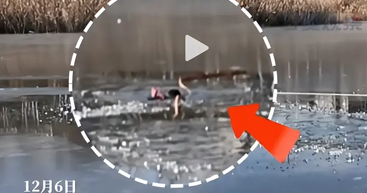 爬冰救人女孩后续：获得见义勇为奖，正能量奖以及终身免费体检