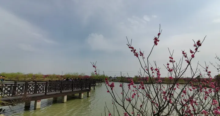 当我们把中小学教师培养成会做课题研究的人