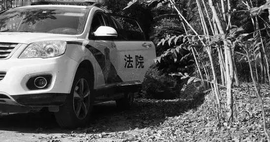 制约人民法院司法警察发展的因素有哪些？