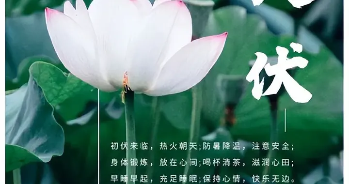 何日入伏？