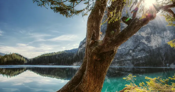 从玄学的角度告诉你：永远不要操心自己的命运