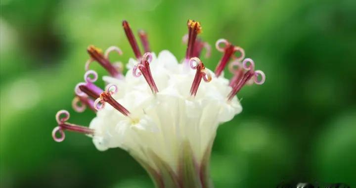 中年男女结束关系，往往会以这三个直接的方式，很现实