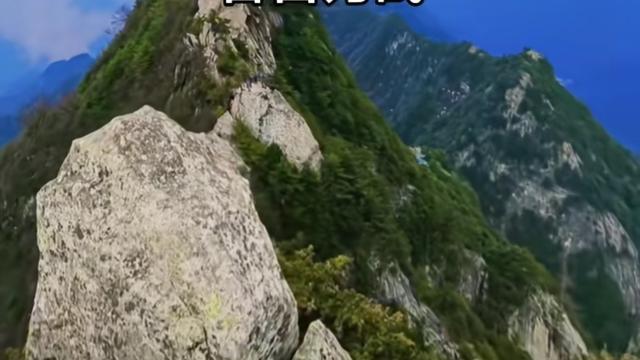 风铃说事：最近这封山封庙的事闹得挺大