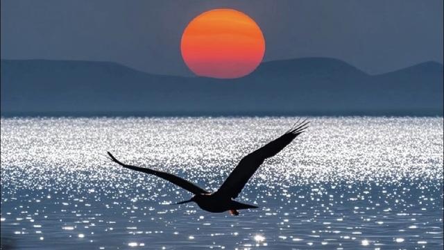 二月随笔：人这一生 风雨兼程 没有谁能够