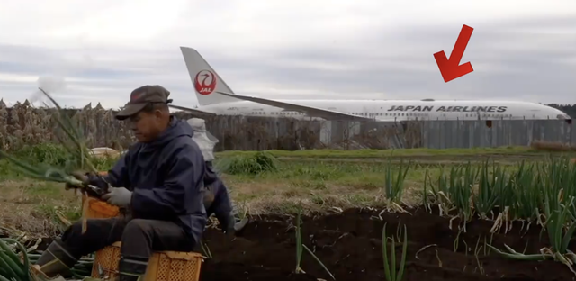 日本最牛钉子户：住在跑道中央20多年，无论给多少钱，就是不搬