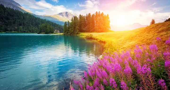 别再嫌妈“土”，她只是没机会看世界——解锁亲情理解的新视角