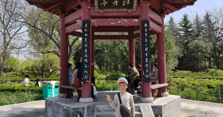 最新《联律通则》解读，读一遍懂，读两遍会，新手必备！