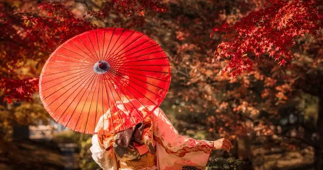 别再去日本旅游了——你正在为一个苟延残喘的发达国家续命