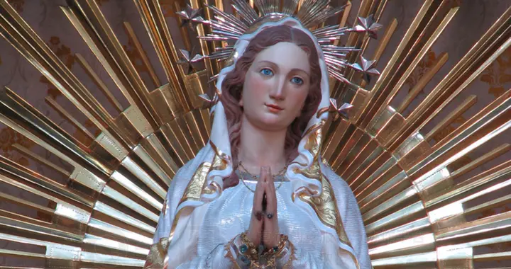 你一定不知道的圣玛利亚秘密！这几个故事，绝对让你大开眼界！