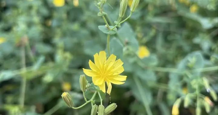 股息14%VS5%市盈率20VS不足10%两组数据差在哪？一文算清核心逻辑