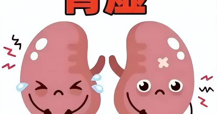 肾精亏虚如何补？一方调养全身精血，改善肾虚精力不足