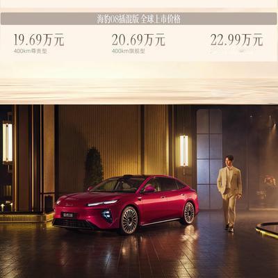 阿源说车：19.69万的海豹08，凭什么
