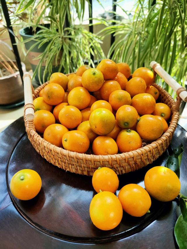 它是“止咳第一名”，连吃3天，轻松排出黄痰，喉咙不干也不疼了