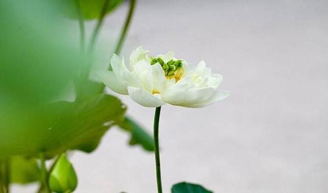 “有福之人，必有天相”，身上有这些特征的人，福气满满！