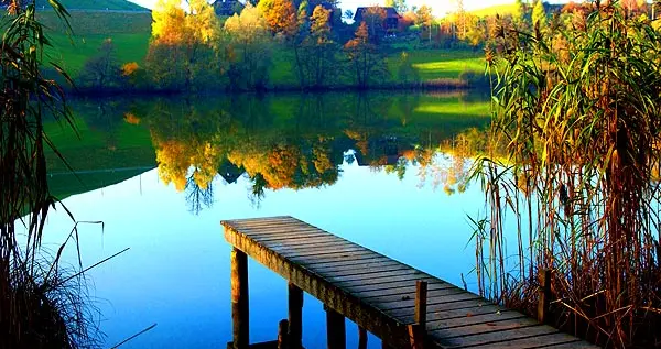 不和烂人计较，不和破事纠缠——人生的智慧在于学会放下