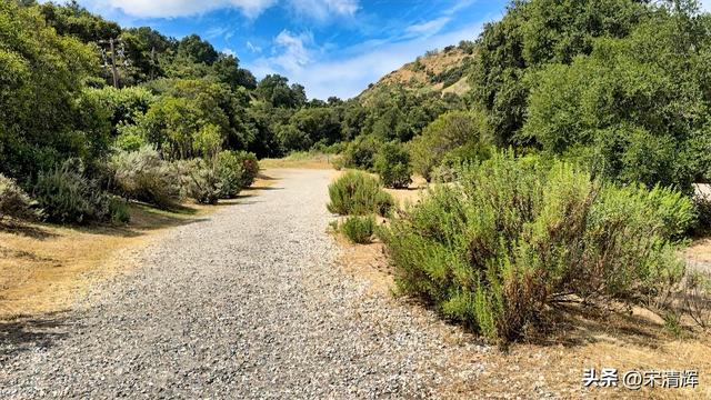 宋清辉：（1601）：生