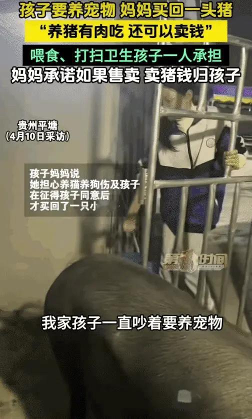 田鸡645：太有意思了！贵州平塘，一小女