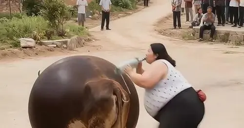 华为和余承东疯了吗？不然他咋敢那样说？还疯狂投诉？还有李想