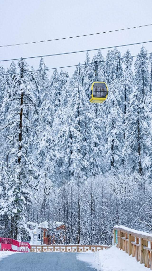 岁月轮回，小雪又至