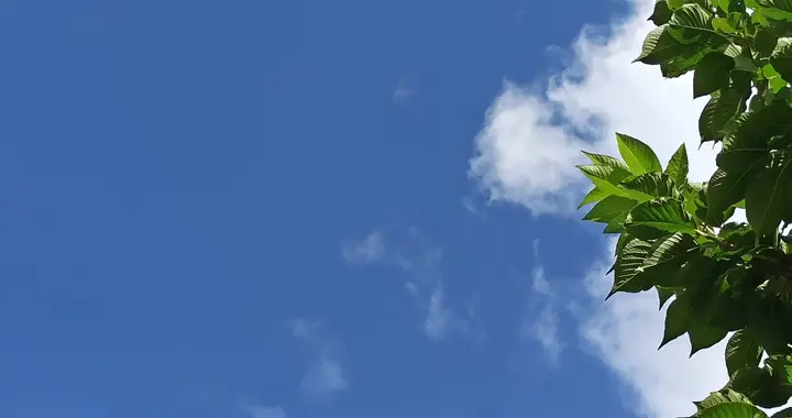 普通人的能力就是三个字：讲真话！（大道至简）