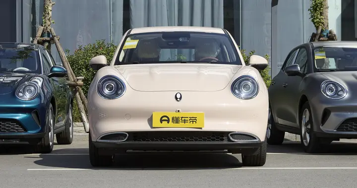 欧拉好猫：年底想买纯电车的，一定要亲自体验一下！