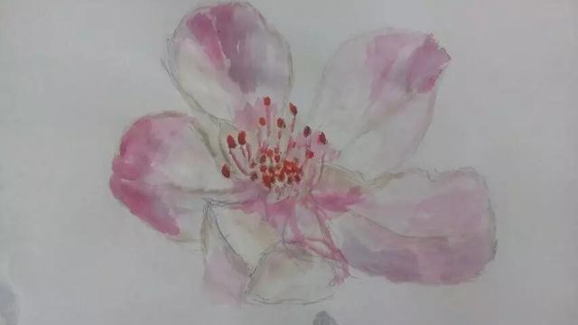 又见一年丁香开：无师自通  [笑哭][耶