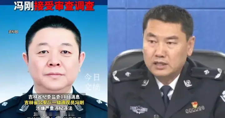 公安局长主动投案，一个月第三个：这场风暴传递的信号，该醒醒了