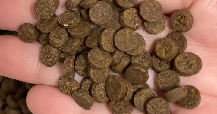 世界十大顶级狗粮品牌，养狗人必看，给你的狗狗挑最好的