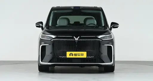 30万预算买MPV，岚图梦想家冠军版全能又好开，一车满足全家
