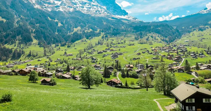 怕了关税战，承诺扩大对美投资，日韩带了坏头，美国又对瑞士开刀