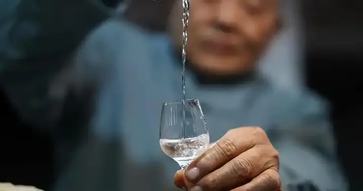 每周喝半斤白酒，颈动脉斑块风险不升反降？20年研究给出答案