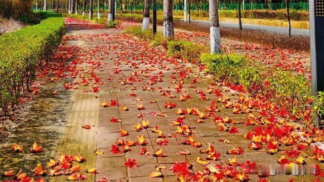 野岩：人体最好的养生方法   一、饮食养