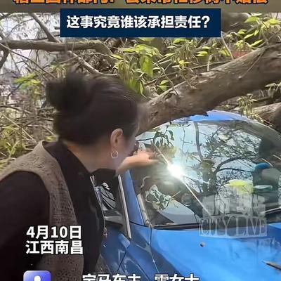 陶恒柏：江西南昌，女子把车停在路边，大树