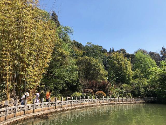 云南绝美养老地，比昆明大理更舒适！