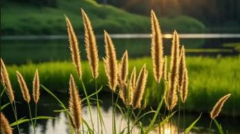 微凉说说：醍醐灌顶的一段话：  “很多人