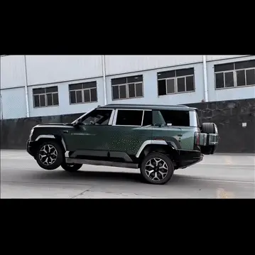 极目梵天舒：“TM前轮爆了，拆了一个轮胎