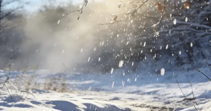 风清寒渐散，光暖意渐浓，春声渐近，万物可期