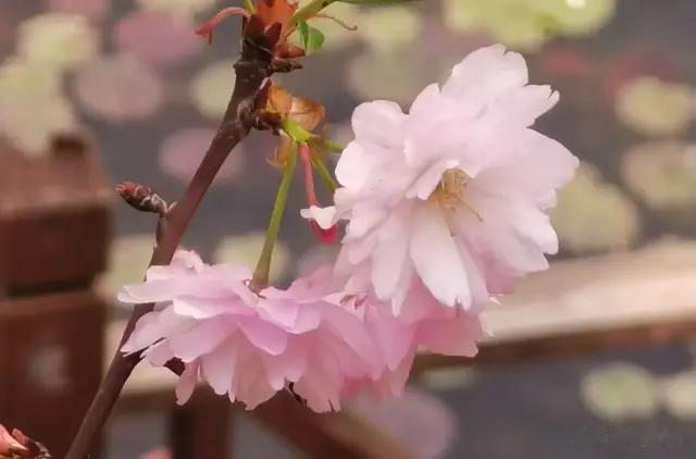 不断地改变自己，让自己变得强大起来。