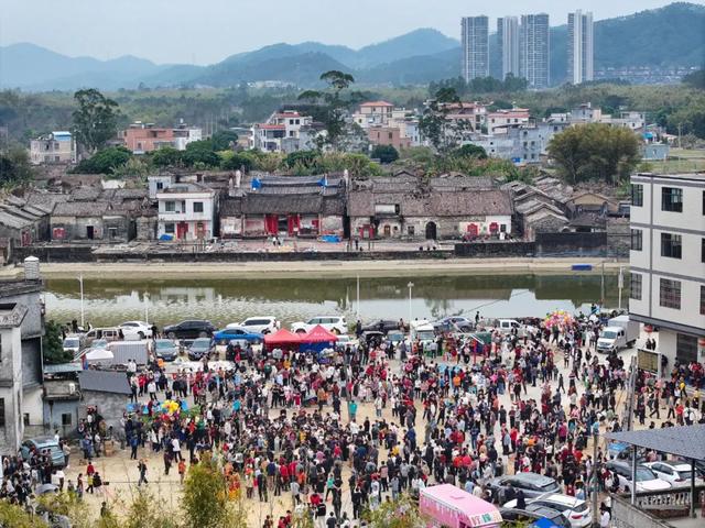 又刷屏了！龙门永汉官田王屋的做棚超热闹