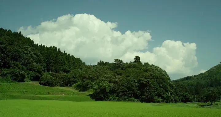 “你是世界上最好的妈妈”，她听到这句话，却想哭