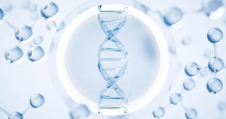 “脑部减负专家”甘露醇：关键细节决定疗效与安全