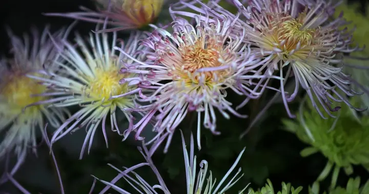 退休发现老伴外面有人，58岁女人倾诉：平静离婚5年后前夫后悔了