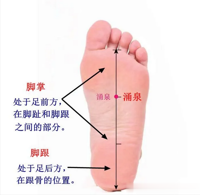 陈雄：松沉根劲生在脚底哪里？