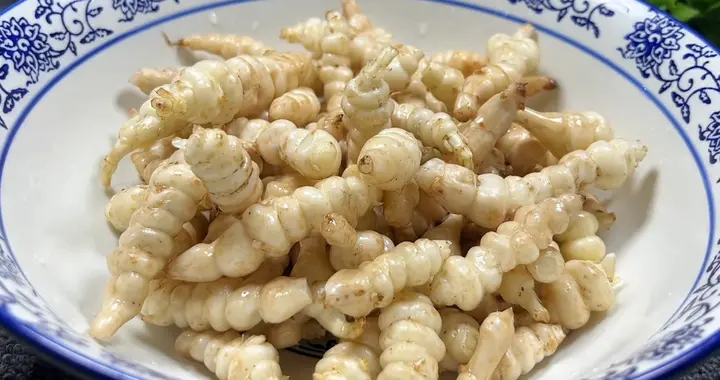 老话说：“秋天吃一根，腿脚站稳跟”，可惜懂的人不多